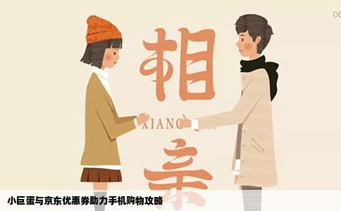 小巨蛋与京东优惠券助力手机购物攻略