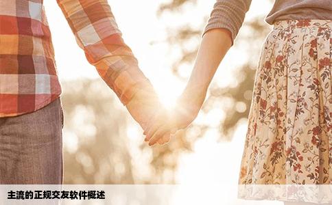 主流的正规交友软件概述
