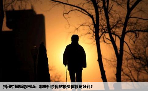揭秘中国婚恋市场：哪些相亲网站最受信赖与好评？