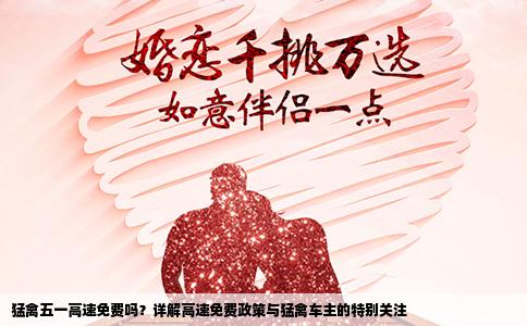 猛禽五一高速免费吗？详解高速免费政策与猛禽车主的特别关注