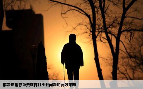 解决进销存免费软件打不开问题的高效策略