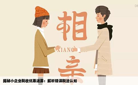揭秘小企业税收优惠迷雾：解析错误税法认知