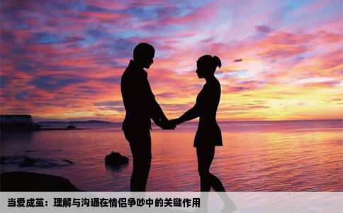 当爱成茧：理解与沟通在情侣争吵中的关键作用
