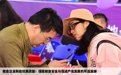 粮食企业税收优惠政策：保障粮食安全与促进产业发展的双赢策略