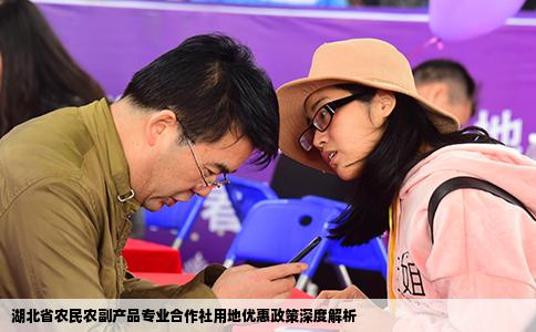 湖北省农民农副产品专业合作社用地优惠政策深度解析