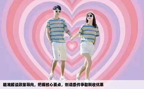 精准解读政策导向，把握核心要点，创造条件争取税收优惠