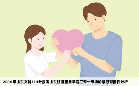 2010年山东文科313分报考山东旅游职业学院二专一志愿的录取可能性分析