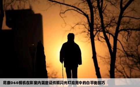 尼康D60相机在影室内蓝底证件照闪光灯应用中的白平衡技巧
